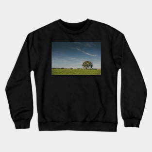 Big Old Tree Crewneck Sweatshirt